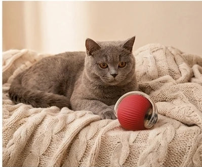 Intelligent Interactive Cat Ball
