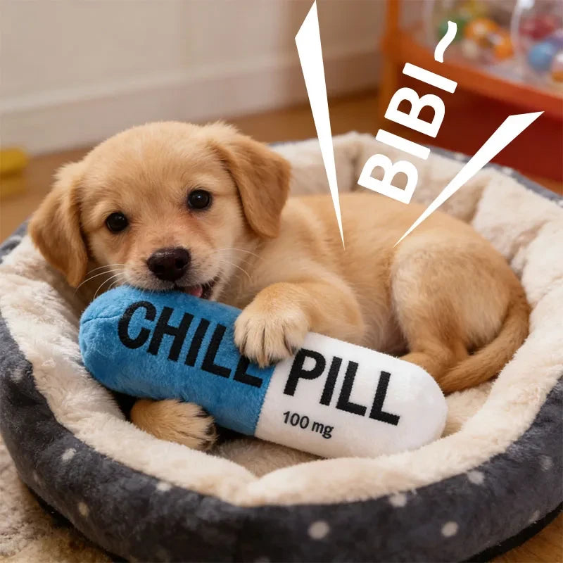 "Chill Pill"  Plush Dog Chew Toy